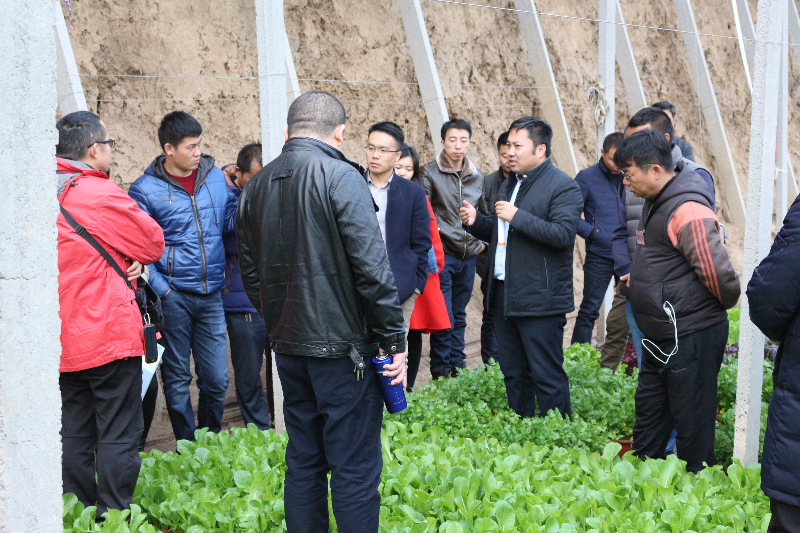 在盆栽蔬菜溫室，李軍老師給十二期學(xué)員講解盆栽蔬菜技術(shù)